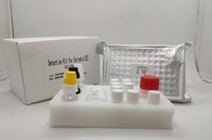 Kern-Antigen Serum-Plasma-Diagnostiktest Igg Elisa Kit For Hepatitis B
