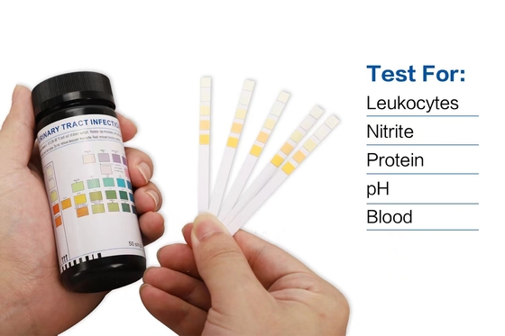 Streifen MSDS des Glukose-Protein-Urin-pH genehmigten