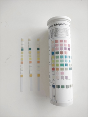 Fsc-Harnuntersuchungs-Test-Streifen 10 Streifen des Parameter-100/Flasche