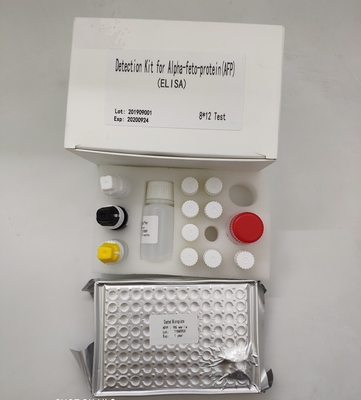 Quantitative Alpha Fetoprotein Elisa Detection Kit AFP im menschlichen Serum