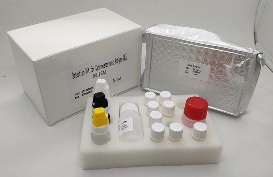 Hohe empfindliche CEA Elisa Kit Detection Human Carcinoembryonic Antigen