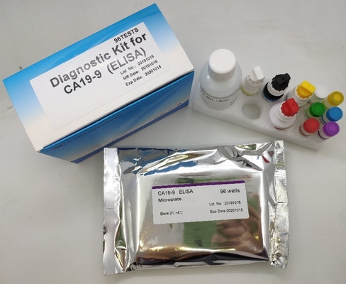 Medizinische Schnelldiagnose 96-teiliges Elisa-Testkit Hbsag-Hepatitis-B-Oberflächenantigen