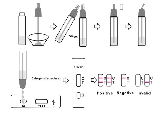 CE zugelassener H-Pylori-Antigen-Schnelltest zur Stuhldiagnose zu Hause