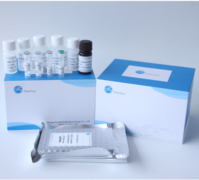 Angiotensin I, das Enzym ACE Elisa Test Kit INVBIO umwandelt