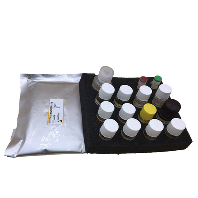 Plazentarer Wachstumsfaktor Elisa Test Kit PLGF