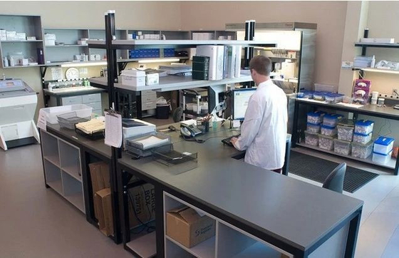 Plazentarer Wachstumsfaktor Elisa Test Kit PLGF