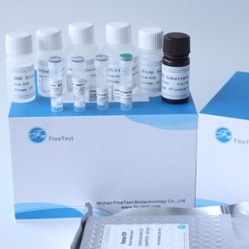 Fsc bestätigte Elisa Kit Human Ifnw 1 Interferon Omega-1